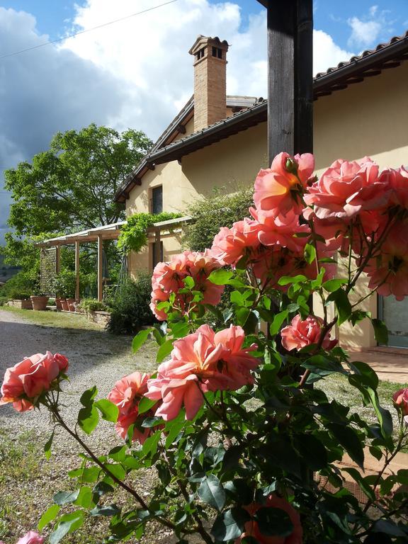 B&B Antegiano Belforte del Chienti Exterior foto